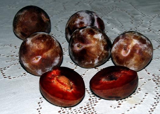 Elephant Heart Plums